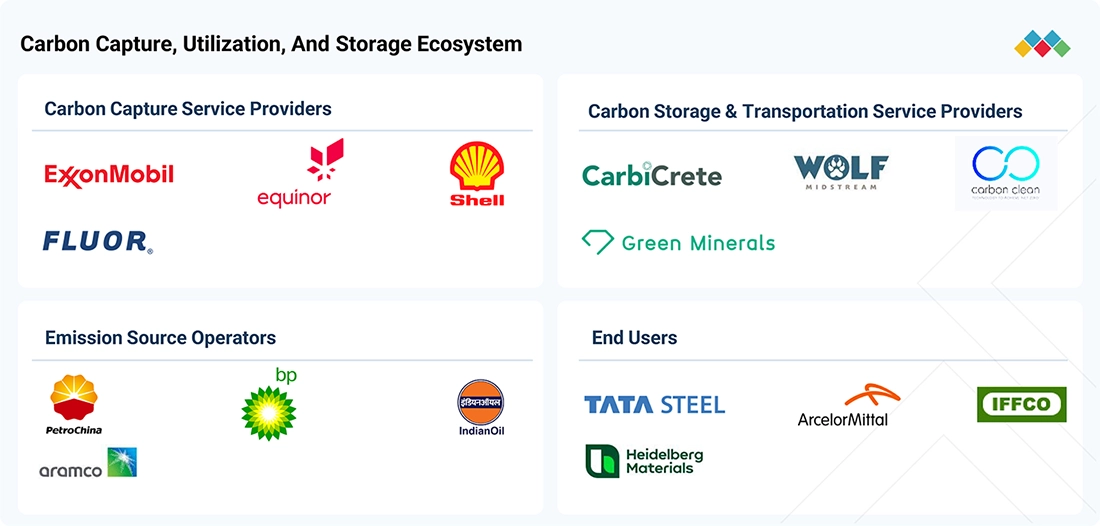 carbon-capture-utilization-storage-market Ecosystem