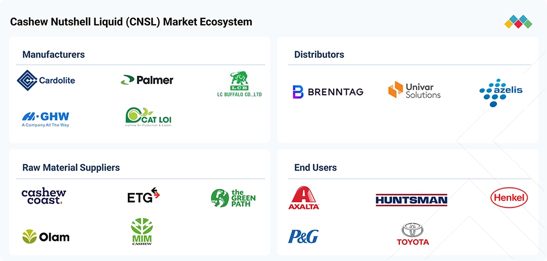 cashew-nutshell-liquid-market Ecosystem