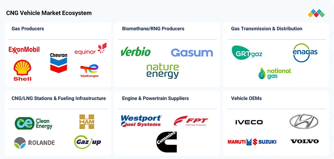 cng-lpg-vehicle-market Ecosystem