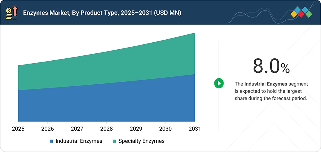 enzyme-market Segments