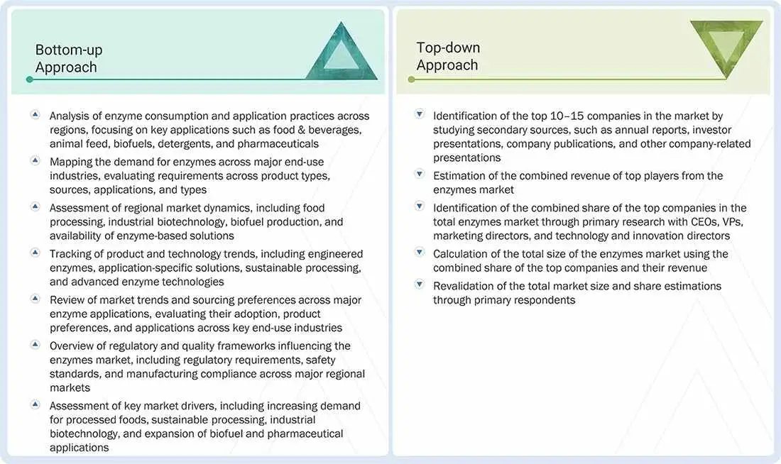 Enzymes Market Top Down and Bottom Up Approach Enzymes Market Top Down and Bottom Up Approach