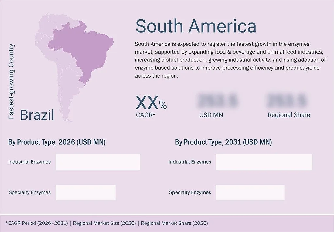 enzyme-market Region