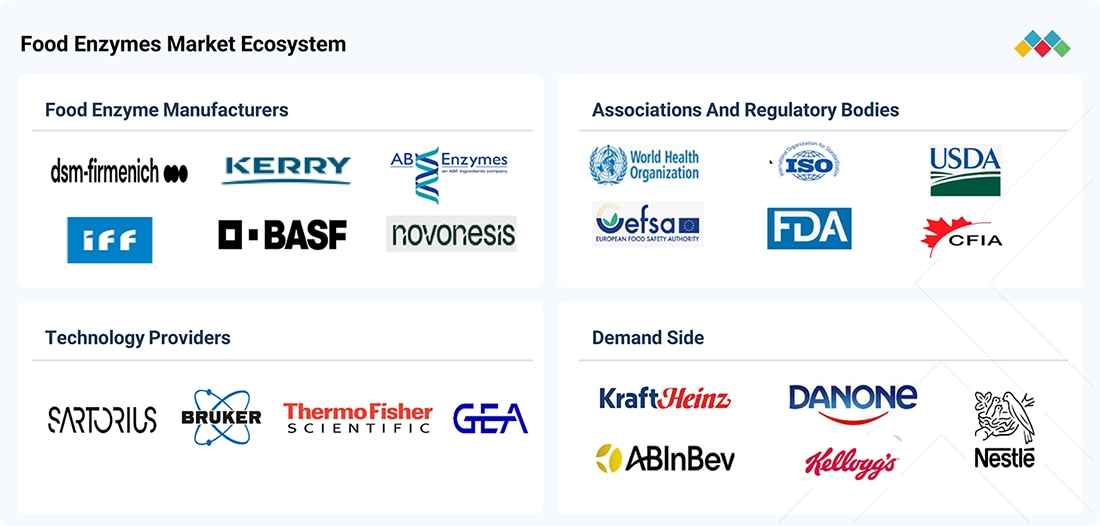 food-enzymes-market Ecosystem