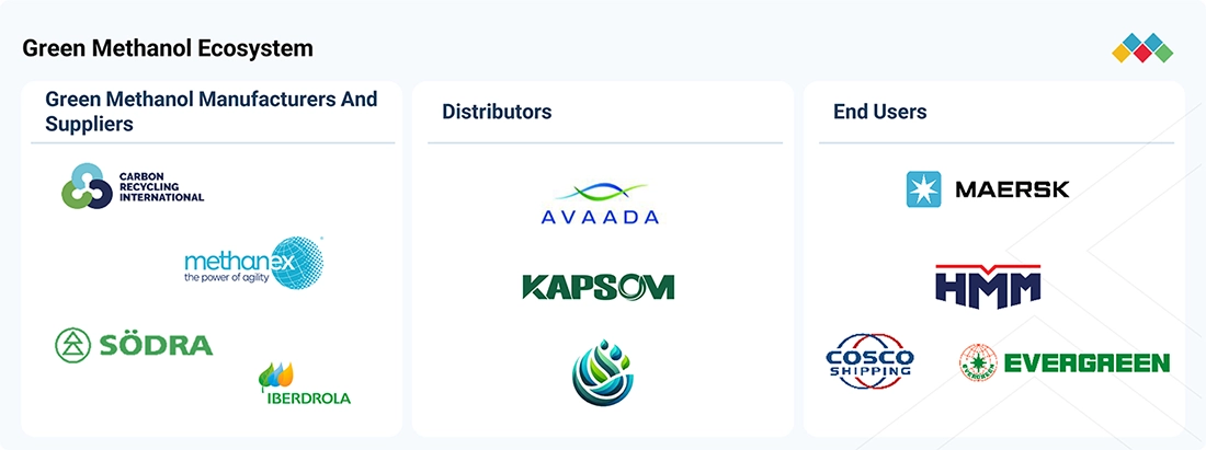 green-methanol-market Ecosystem