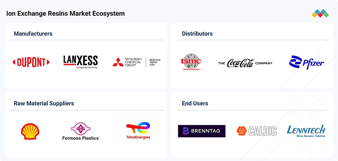 ion-exchange-resins-market Ecosystem