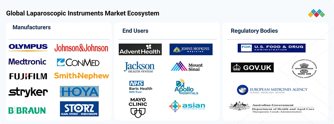 laparoscopic-instruments-market Ecosystem