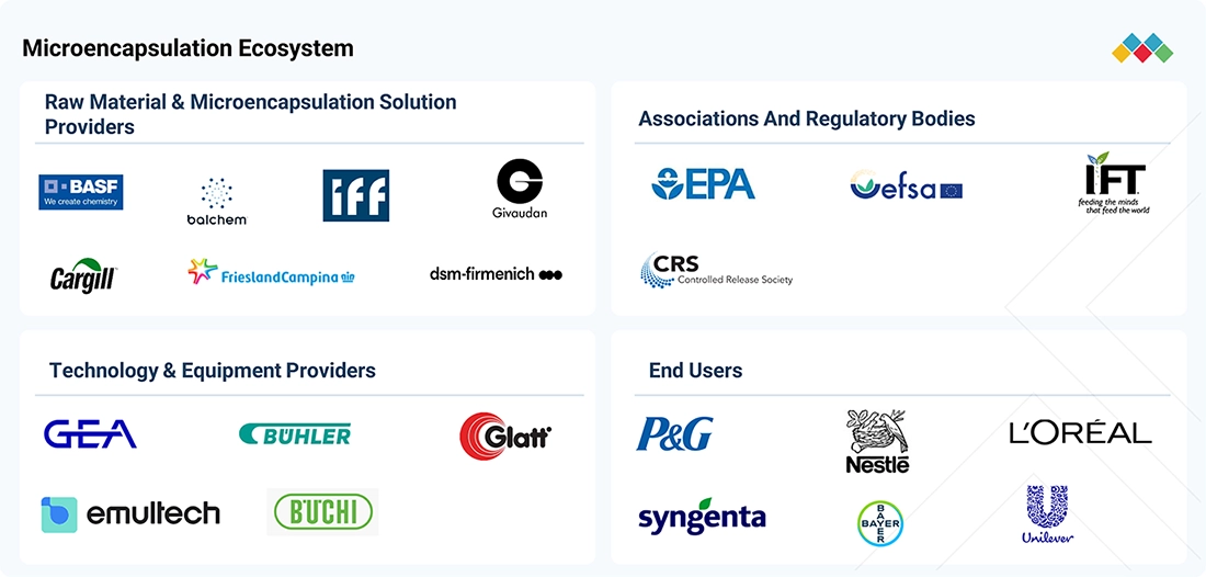 microencapsulation-market Ecosystem