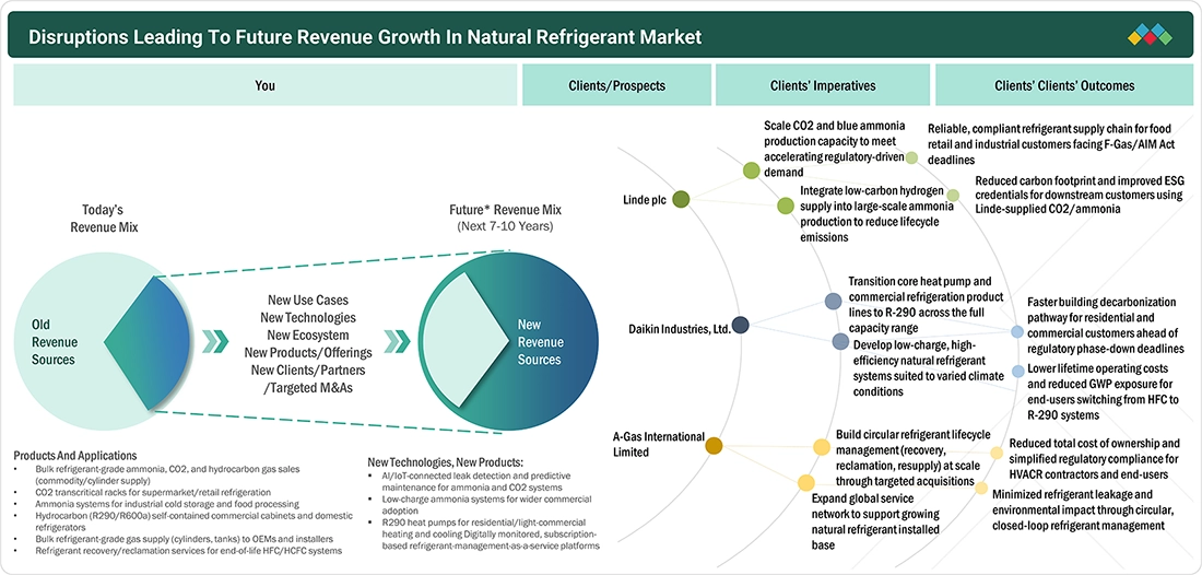 natural-refrigerant-market Disruptions