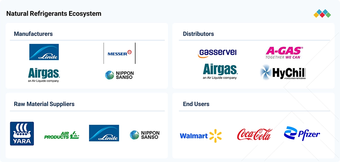 natural-refrigerant-market Ecosystem