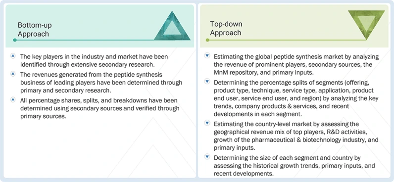 Peptide Synthesis Market Top Down and Bottom Up Approach