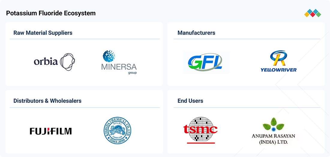 potassium-fluoride-market Ecosystem