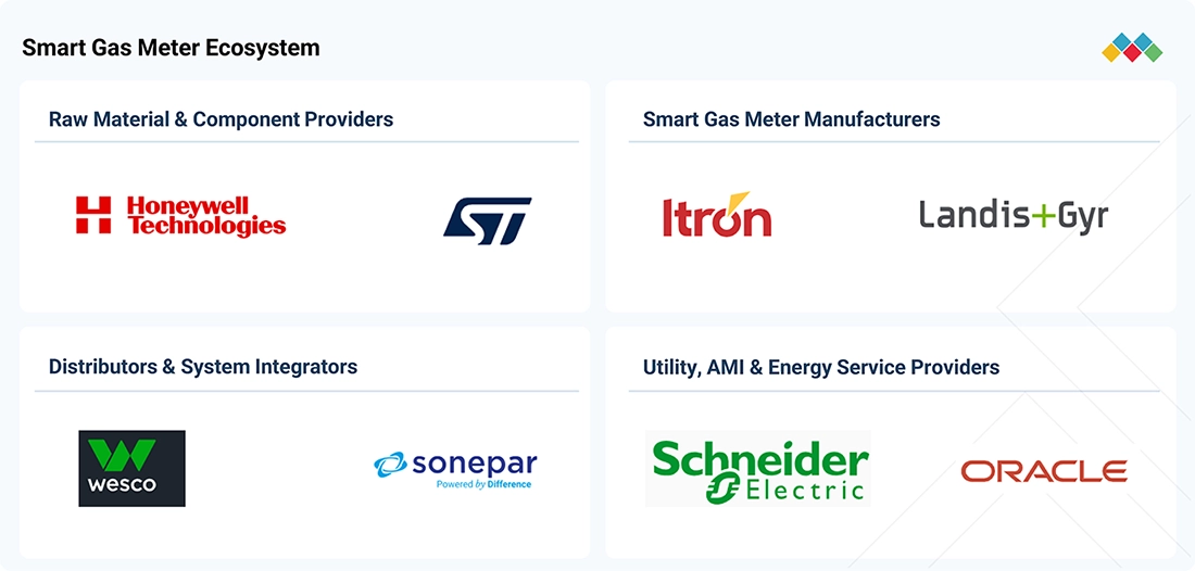 smart-gas-meter-market Ecosystem