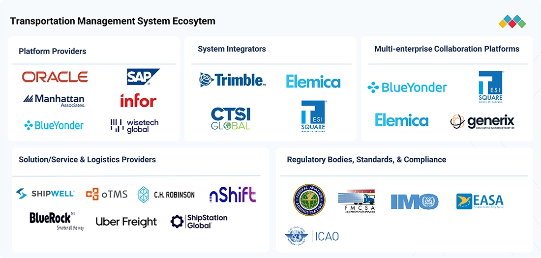transportation-management-market Ecosystem